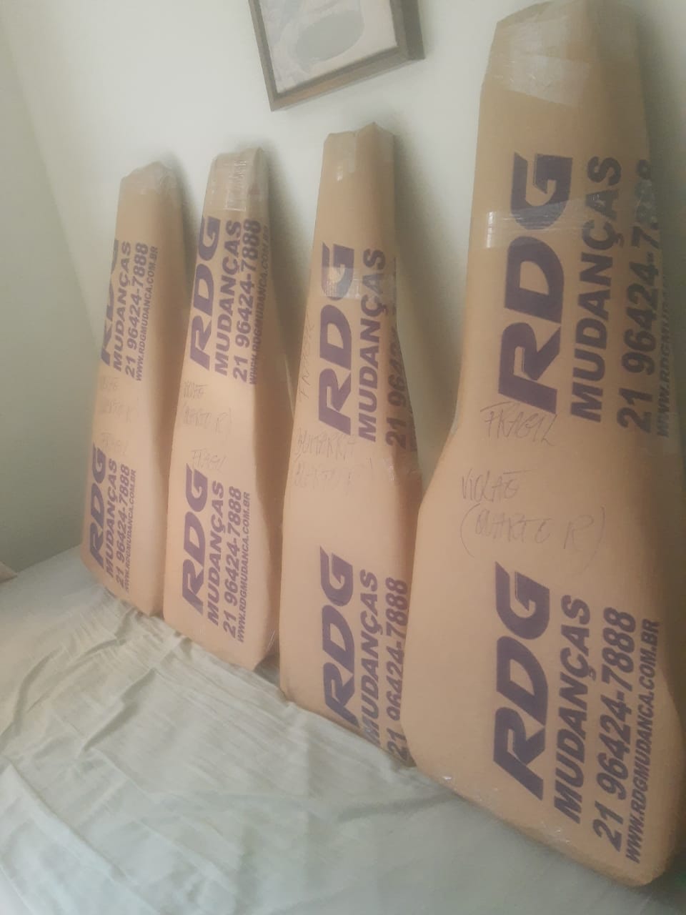 Empresa de Mudanças RJ